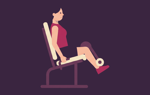 Seated Leg Curl end position, illustrated