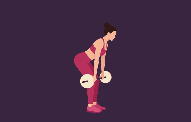 Stiff-Legged Deadlift midpoint, illustrated